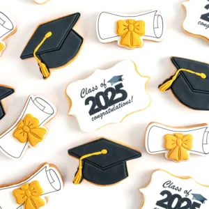 Decorated Graduation Cookies Collection